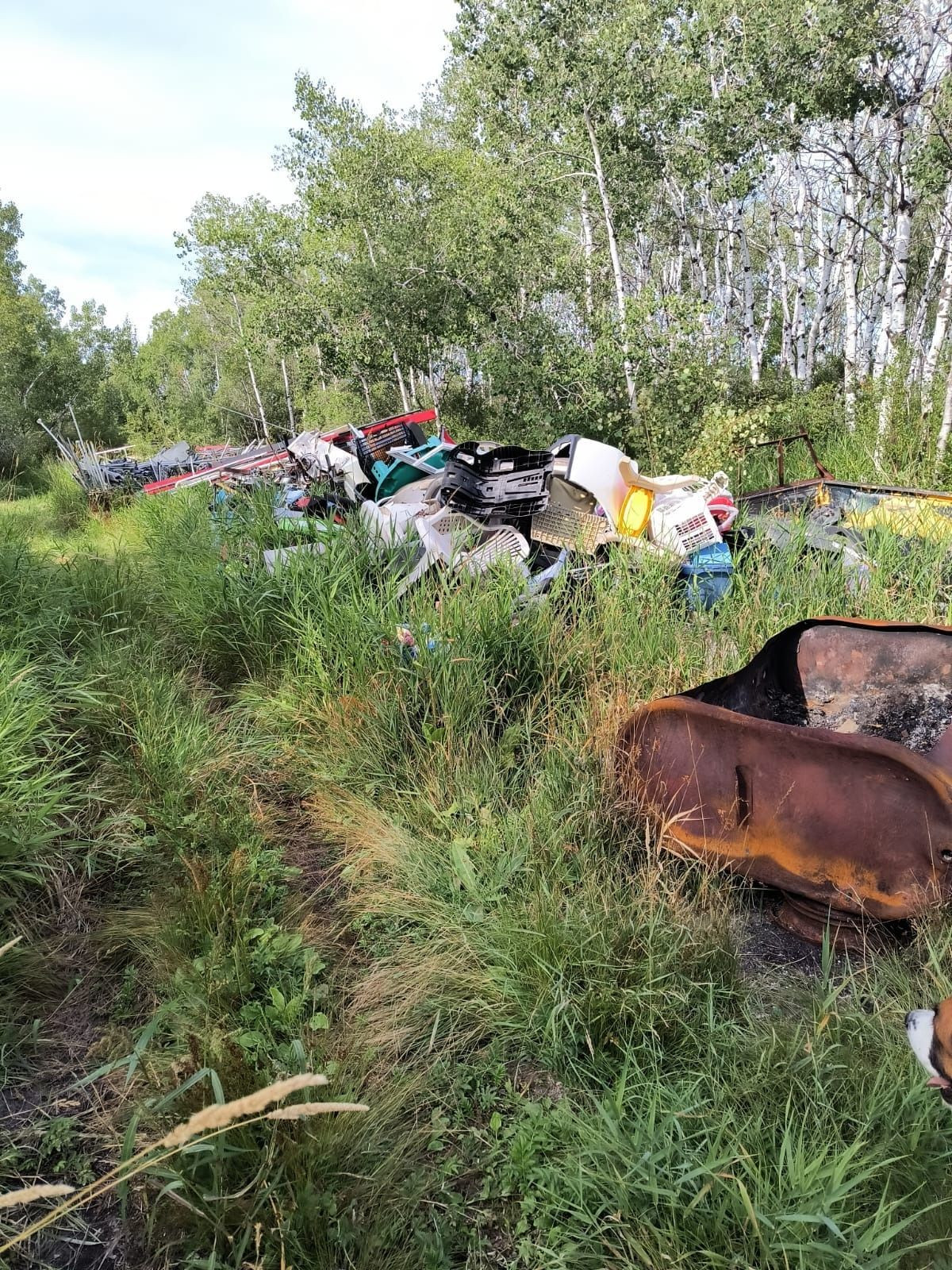 Mixed Plastic Scrap for Sale