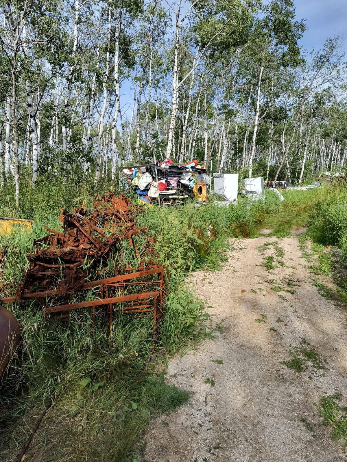 Mixed Plastic Scrap for Sale
